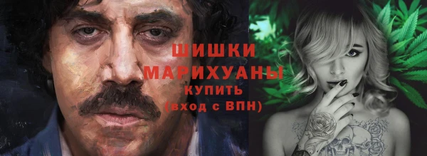 индика Пестово